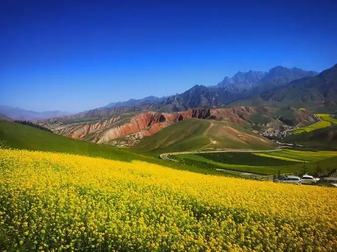 经济师考试备考指南 | 如何高效通过经济师考试 经济师考试知识 第1张