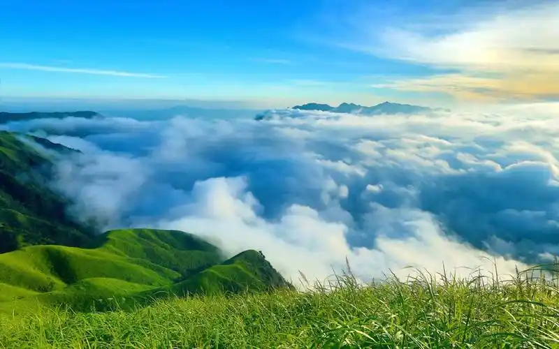 高层管理常见问题解答 | 高层管理全攻略 高层管理知识 第1张